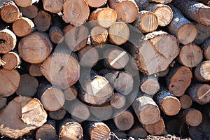 Lumber yard photo