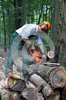 Lumberjack