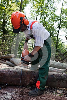 Lumberjack photo