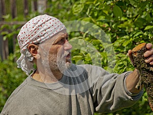 Lumberjack