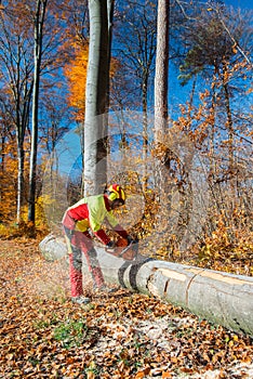 Lumberjack with chain saw