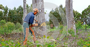 Lumberjack with chainsaw cutting tree trunk in forest 4k