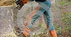 Lumberjack with chainsaw cutting tree trunk in forest 4k