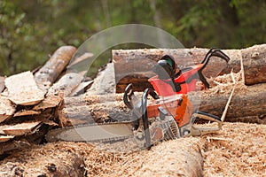 A lumberjack chainsaw and protection equipment inside an Italian forest