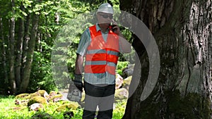 Lumberjack with chainsaw talking on smarth phone near the old tree