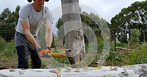 Lumberjack cutting fallen tree with axe 4k