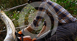 Lumberjack cutting fallen tree in the forest 4k