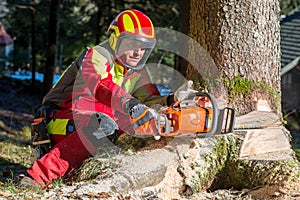 Lumberjack cutting tree in forest