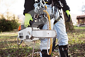 Lumberjack with harness and chain saw prepared to prune a tree.