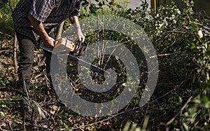 Lumberjack logger worker in cutting firewood timber tree in forest with orange chainsaw.