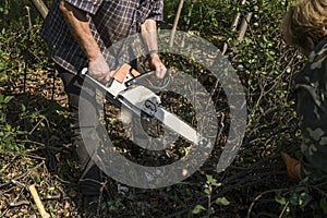 Lumberjack logger worker in cutting firewood timber tree in forest with orange chainsaw.