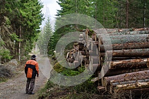 Lumberjack at a logpile