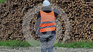 Lumberjack numbering near log of pile
