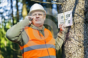 Lumberjack talking on cell phone near marked tree in forest