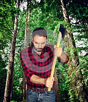 Lumberjack among the trees.