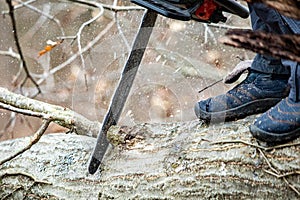 Lumberjack using a Gas-Powered Chain Saw cutting trees