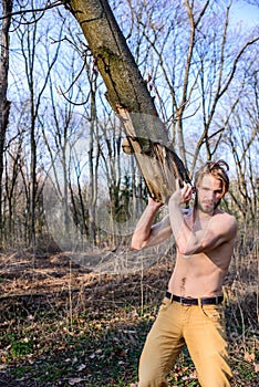 Lumberjack or woodman naked muscular torso gathering wood. Masculinity concept. Man brutal strong attractive guy