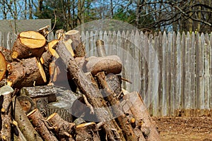 Lumberjack worker with chainsaw cutting log of wood