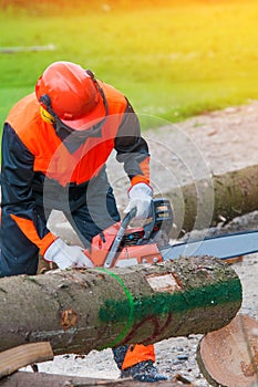 Lumberjack Worker With Chainsaw In The Forest