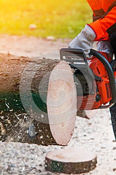 Lumberjack Worker With Chainsaw In The Forest