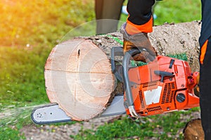 Lumberjack Worker With Chainsaw In The Forest