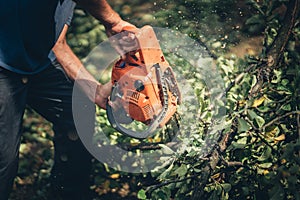 Lumberjack worker cutting firewood in forest with a professional chainsaw