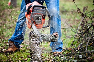 Lumberjack worker in full protective gear cutting firewood