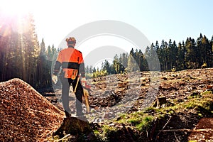 Lumberjack working in a forest