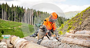 Lumberman work wirh chainsaw in the forest. Deforestation, forest cutting concept. Woodcutter lumberjack is man chainsaw