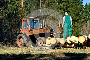 Lumbermen using tractor