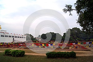 Lumbini Vana is World cultural heritage photo