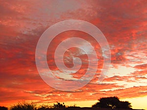 The luminant Red sky