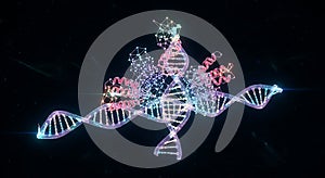 Luminous DNA double helix and complex protein interaction