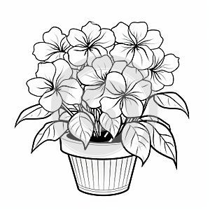 Luminous Sfumato: High Resolution Coloring Pages Of Two Flowers In A Pot