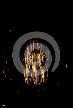 Luminous thread of a retro Edison lamp