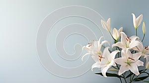 Luminous White Lilies: Intricate Petals Unfurling Under the Sun\'s Touch AI Generated