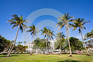 Lummus Park Miami Beach photo