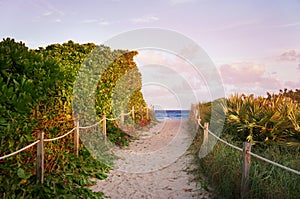 Lummus park view near South Beach