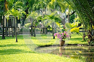 Lumphini park