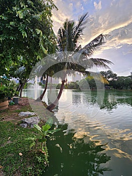 Lumpini park lake in Bangkok Thailand