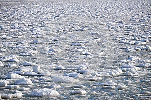 Lumps of snow and ice frazil on the surface of the freezing rive