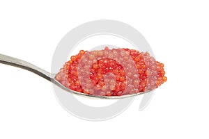 Lumpsucker (Cyclopterus lumpus) Caviar on a teaspoon