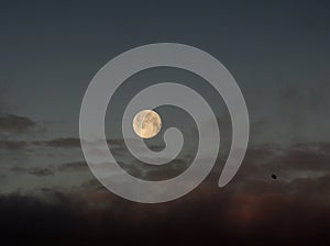 Luna de nieve en la oscuridad y un pÃÂ¡jaro negro photo