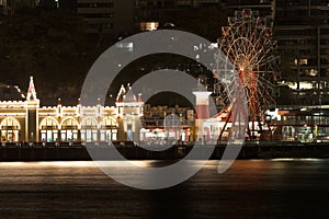 Luna Park Sydney at Night