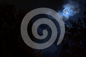 luna piena nel cielo photo