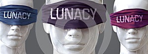 Lunacy can blind our views and limit perspective - pictured as word Lunacy on eyes to symbolize that Lunacy can distort perception