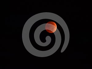 Lunar Eclipse during Beaver Blood Moon November 2022 photo