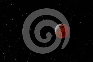 Lunar Eclipse January 2019