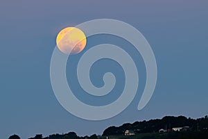 Lunar eclipse over tauranga sky