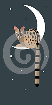 Lunar Genet